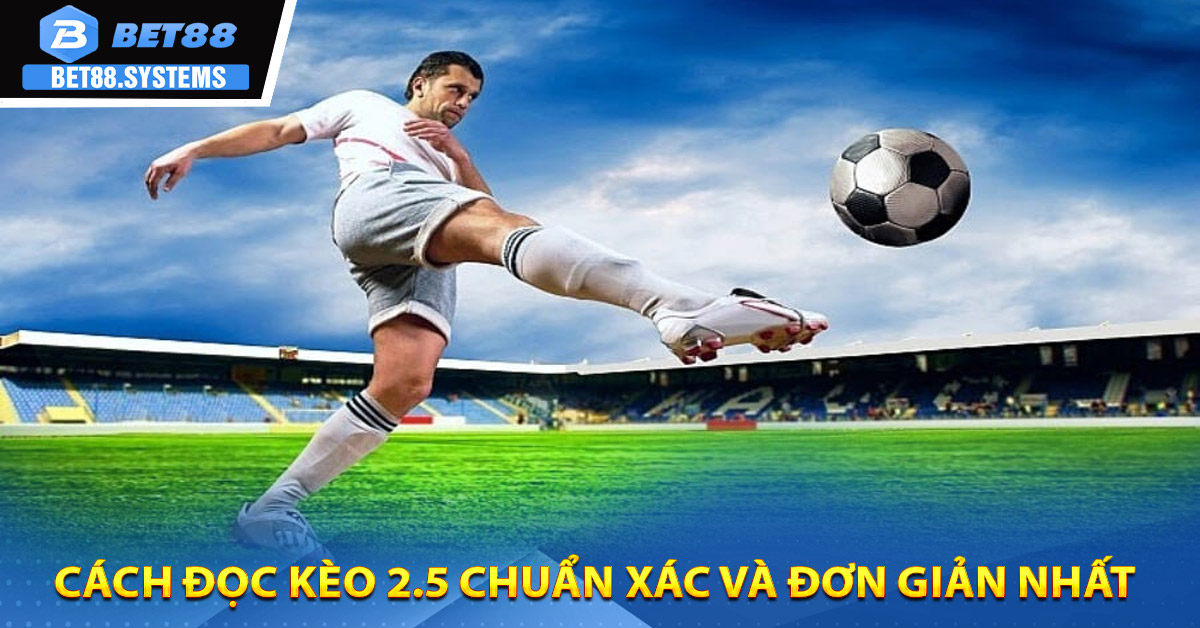 Cách đọc kèo 2.5 chuẩn xác và đơn giản nhất
