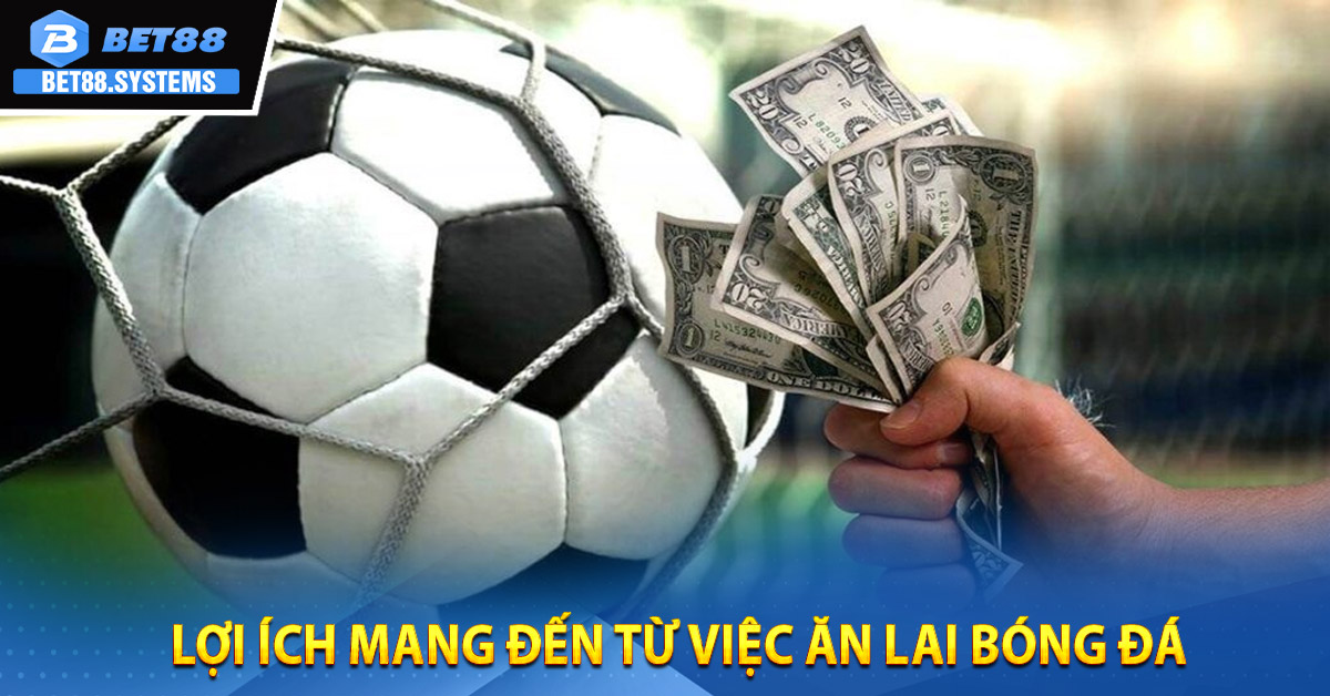 Lợi ích mang đến từ việc ăn lai bóng đá