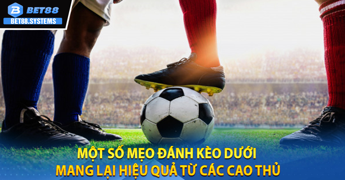 Một số mẹo đánh kèo dưới mang lại hiệu quả từ các cao thủ